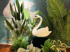 -【朵云轩艺术中心】博洛尼亚插画展·中国巡展·上海站