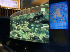 -成都浩海立方海洋公园