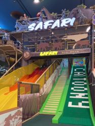 -卡通尼·Safari非洲探索乐园·生日会(金桥国际商业广场店)