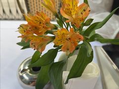-夏朵花园(复兴西路店)