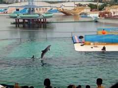 -秦皇岛乐岛海洋王国