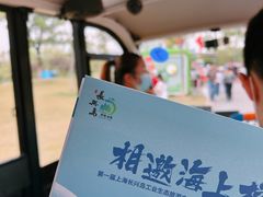 -上海长兴岛郊野公园