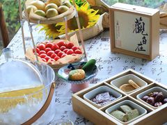 -杭州湾海上花田景区