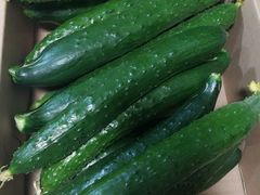 -南汇老顾农家乐采摘大团水蜜桃采摘店
