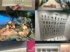 -国家自然博物馆