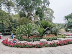 -华南国家植物园-售票处