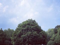 -灵谷景区