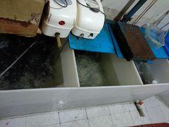 -谭记石锅鱼府(三道堰店)