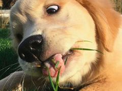 -哈氏·上海哈尔滨食品厂(五角场万达广场店)