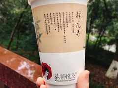 -茶颜悦色(岳麓山顶店)