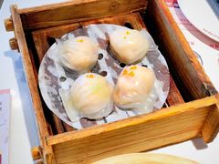 虾饺-粤点越有·茶点·粤菜(樵岭国际店)