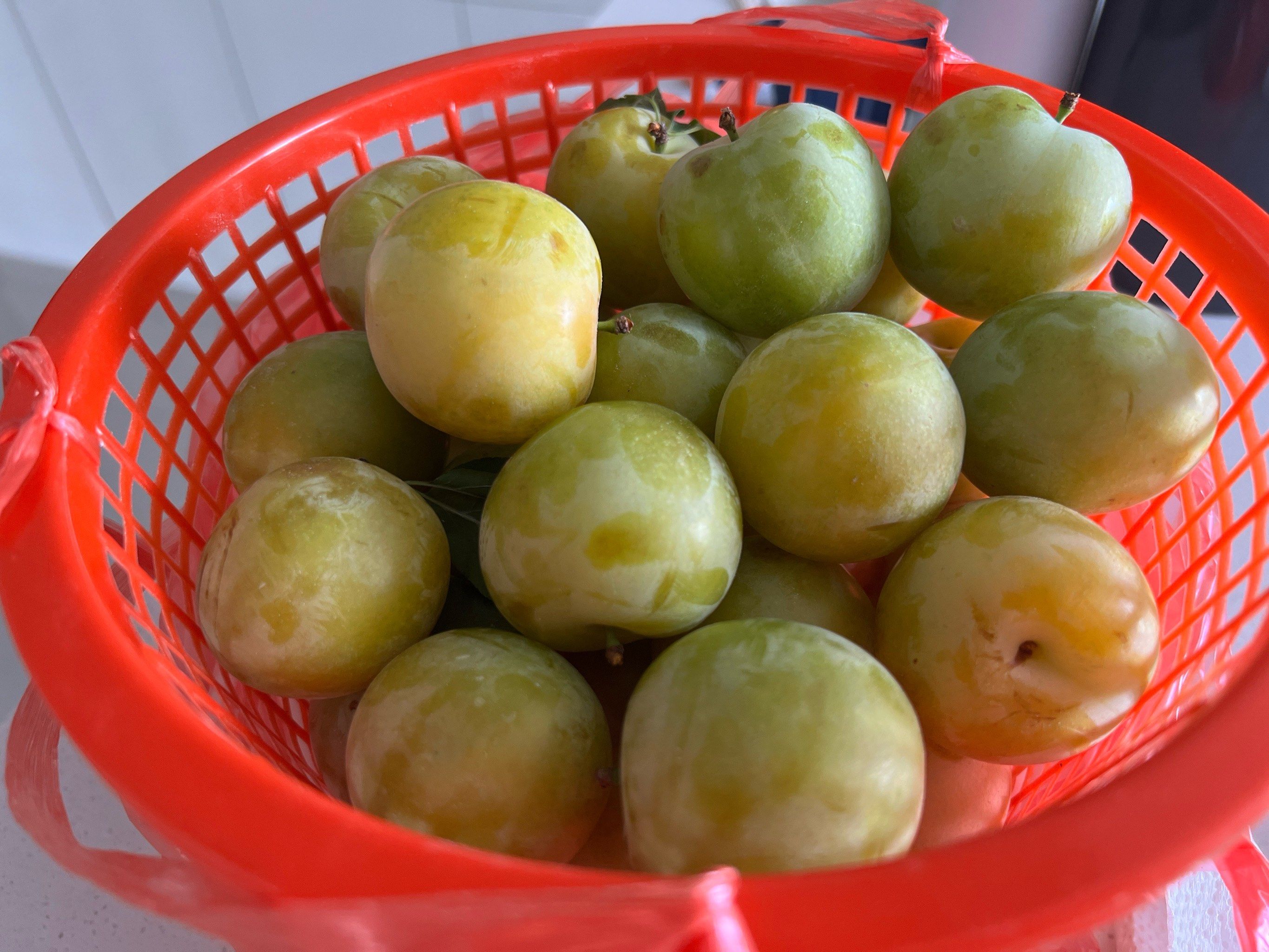 觅食记 大浮醉李,又甜又多汁,新鲜采摘,只有一个星期左右的档期,错过