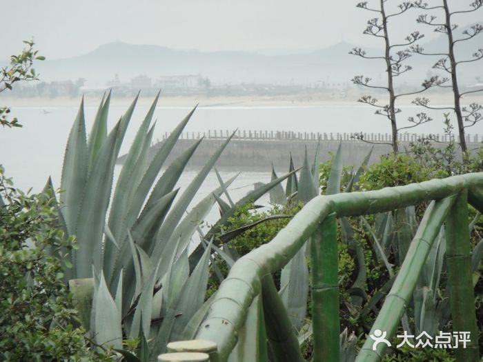 漳州滨海火山岛自然生态风景区图片