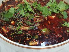 -陈胖子鱼庄(黄辣丁新津店)