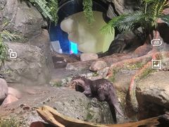 -暹罗海洋世界