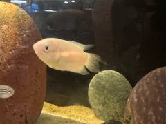 -雕刻时光·无国界料理西餐厅(五山店)