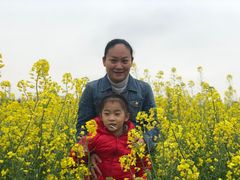 -上海都市菜园