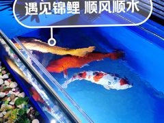 -颐信康足道spa采耳养生馆