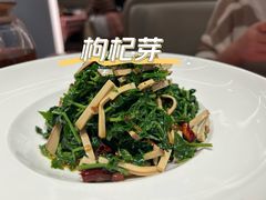 -西贝莜面村(赛格国际购物中心店)