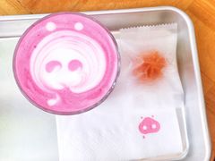 -WHEN PIGS FLY当猪飞