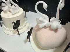 -BLACKSWAN黑天鹅(环球店)