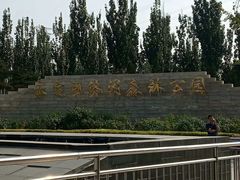 -永定河休闲森林公园