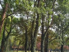 -洛阳市隋唐城遗址植物园