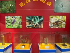 -上海昆虫博物馆