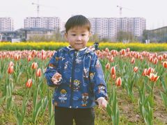 -田园东方蜜桃村的田野营地