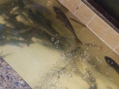 -吴记酱骨炖菜馆(康安路店)