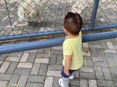 -长白岛森林公园