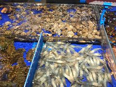 水产区-船歌·鱼水饺青岛菜(闽江二路店)