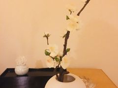 -鲤·鮨KOISUSHI