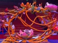 -广州长隆国际大马戏