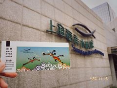 -上海海洋水族馆