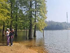 -青龙山国家森林公园