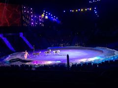 -珠海横琴长隆《卡卡虎奇遇记》