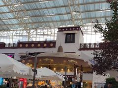 -拉萨圣地天堂洲际大饭店-自助餐厅
