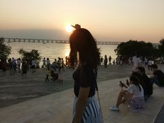 -宝安西湾红树林湿地公园