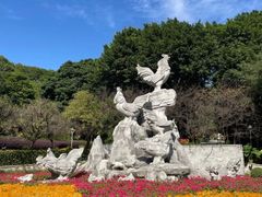 -金鸡山公园