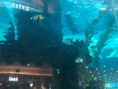 -鸿通城购物中心