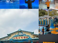 -海合安成都极地海洋公园