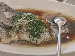 -骏莱海鲜鱼港(五角场店)