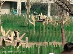 -沈阳森林动物园