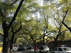 -北京国子监胡同