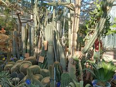 -国家植物园南园