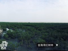 -北海金海湾红树林生态旅游区