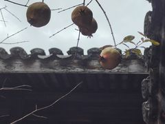 -前童古镇