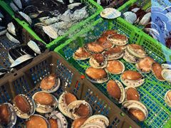 -驻海渔市(置信店)