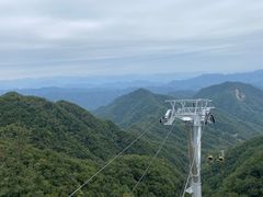 -栾川竹海野生动物园